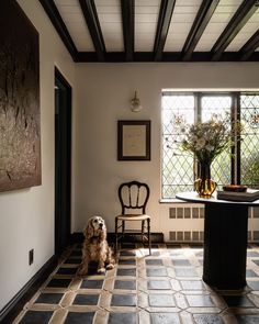 a dog sitting in the middle of a room