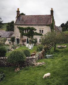 an old stone house with sheep grazing in the front yard and on the other side