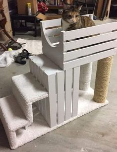 a cat sitting on top of a wooden structure