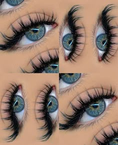 Lash Ideas, Eye Makeup Images, Eyelash Technician, Lash Styles, Simple Makeup Tips