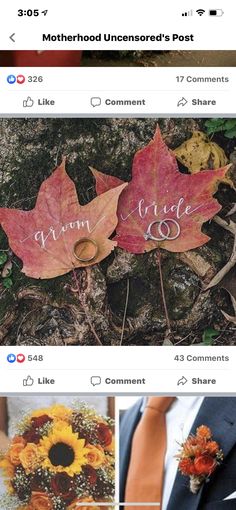 the wedding photos are taken on instagrams, and they look like fall leaves