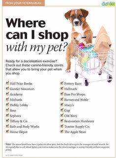 a dog sitting in a shopping cart with the words where can i shop with my pet?