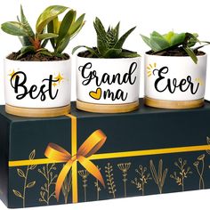 PRICES MAY VARY. 💠 Perfect Gift for Grandma: If you’re looking for sentimental gifts for grandma, grandma christmas gifts or grandma gifts for birthday, these planters make the perfect gifts for new grandma! These grandma gifts from grandchildren have cute plant pots that they will surely enjoy especially if they love small succulent plants! Best grandma announcement gifts, grandma themed gifts, & grandmother gift for mothers day! 💠 Cute Succulent Planters: These cute pots are perfect nana pre Cute Plant Pots, Cute Pots, Best Boss Gifts, Gifts For New Grandma, Boss Birthday Gift, Mother In Law Birthday, Boss Lady Gifts, Small Succulent Plants, Bonus Mom Gifts