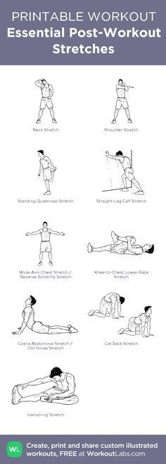 an exercise poster with the instructions for how to do a backbend and chest workout