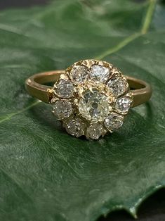 an antique diamond cluster ring sitting on top of a green leaf