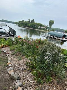 there is a boat docked at the end of the water's edge and many flowers are growing in the foreground