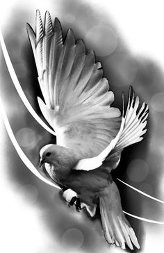 a white bird flying through the air with it's wings spread