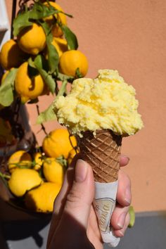 a hand holding an ice cream cone with lemons in the background