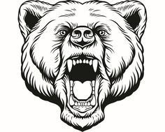 an angry grizzly bear head with open mouth and bared teeth stock photo, royalty