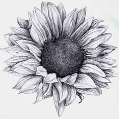 a black and white photo of a sunflower on a spiral bound notebook with pencil