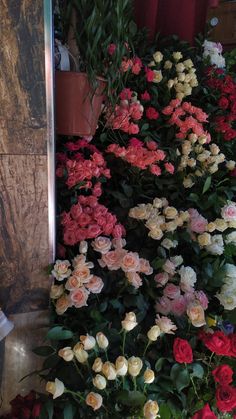 many different colored flowers are growing on the side of a wall in front of a mirror