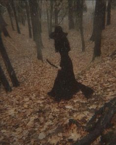 Witch Room, Autumn Witch, Witch Coven, Scary Halloween Costume, Dark Witch, Autumn Tree, Dark Autumn, Dark Cottagecore, Halloween Photoshoot