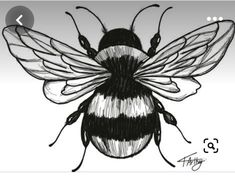 a black and white drawing of a bee with the caption's name below it