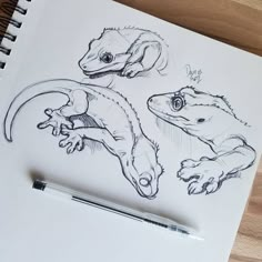 a drawing of two lizards on paper next to a pen