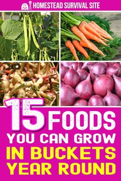 the cover of 15 foods you can grow in buckets year round, including carrots and onions