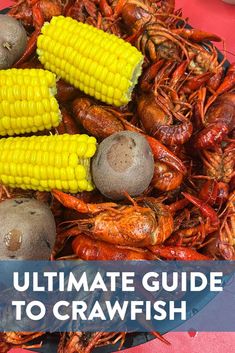 the ultimate guide to crawfish