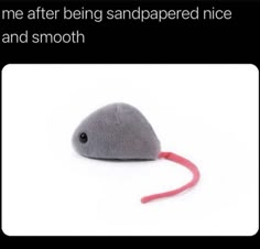 a stuffed mouse with the caption me after being sandappered nice and smooth