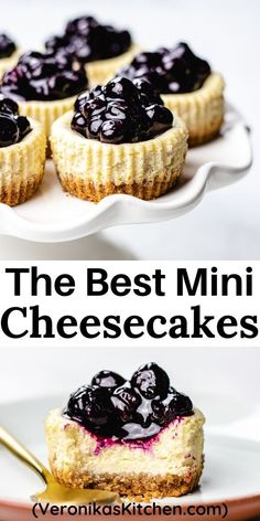 Mini cheesecakes with Graham crackers crust, topped with blueberry sauce. Blueberry Topping For Cheesecake, Individual Cheesecake, Blueberry Cheesecake Cupcakes, Mini Blueberry Cheesecakes, Huckleberry Cheesecake, Blueberry Cheesecake Muffins, Cheesecake Blueberry, Desserts Mini