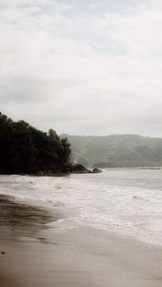 a person walking on the beach with an umbrella over their head, and trees in the background