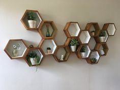 several hexagonal shelves with plants and potted plants on them against a white wall