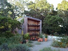 an outdoor garden area with potted plants and wooden shelves on the side of it