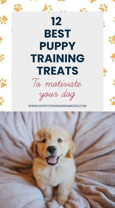 a dog sitting on top of a bed with the words best puppy training treats to motiv