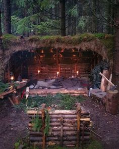 Bush Shelter Ideas, Bushcraft Shelter Long Term, Forest Shack, Woodland Treehouse, Forest Fort, Forest Shelter, Shelters In The Woods, Outdoor Forts, Backyard Fort