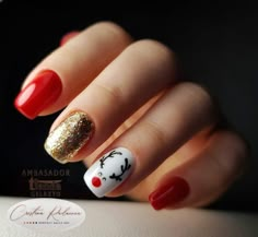 Best Christmas Nails, Christmas Nails Ideas, Ideas Uñas, Christmas Nail Ideas, Gel Toe Nails, Basic Nails, Nail Candy, Simple Nail Art Designs