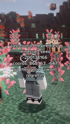 an image of a minecraft game with text that reads, just found the prettiest minecraft seed