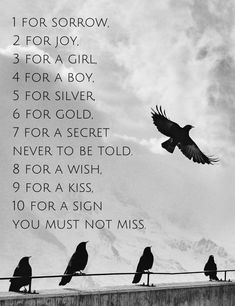 four crows sitting on top of a fence with the words, for sororow 2 for