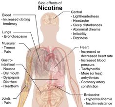 This diagram lists a number of nicotine side effects. They include increased blood pressure, muscular pain, nausea, headaches and more. Heart Pain, Medical Pictures, Lungs Health, Nursing Notes, Medical Knowledge, Anatomy And Physiology, Pharmacology, The Human Body, Health Facts