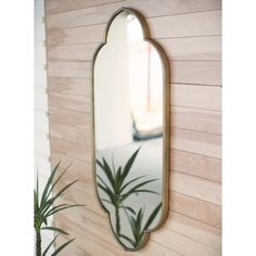 a mirror hanging on the side of a wooden wall next to a potted plant