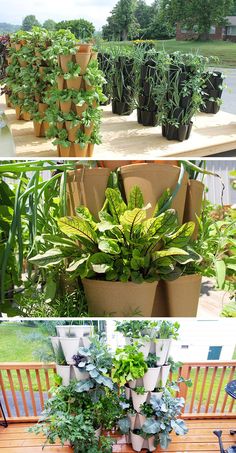 there are many different types of plants in the planter boxes on the bench and table