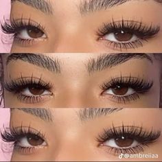 Natural Fake Eyelashes, Best Lash Extensions, Lashes Fake Eyelashes, Wispy Eyelashes, Cat Eye Lash, Eyelash Extensions Styles, Lash Extensions Styles, Perfect Eyelashes, Pretty Lashes