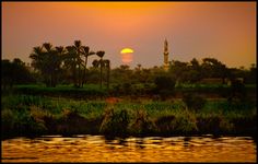 the sun is setting over a river with palm trees in the foreground and a building on the other side