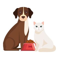 a cat and dog sitting next to each other with food in front of them on a white background