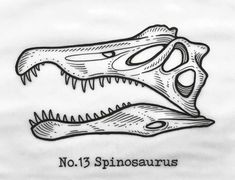 a drawing of a dinosaur's teeth and mouth with the words no 3 dinosaurs on it