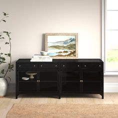 a living room with a black cabinet and potted plant on the floor next to it