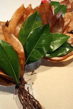 some leaves and twigs are on the table