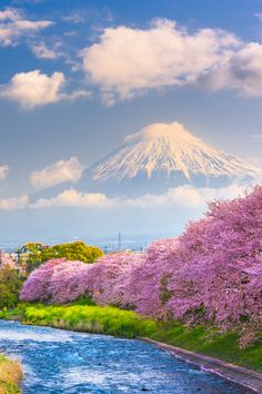 Top 14 Beautiful Rakuten STAY Vacation Rentals In Japan Flowers In Japan, Love Backgrounds, Language Of Flowers, Beautiful Landscape Wallpaper, Beautiful Sights, Mount Fuji, Alam Yang Indah, Okinawa, Dream Destinations