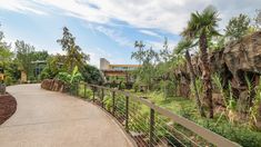 the walkway is surrounded by trees and plants