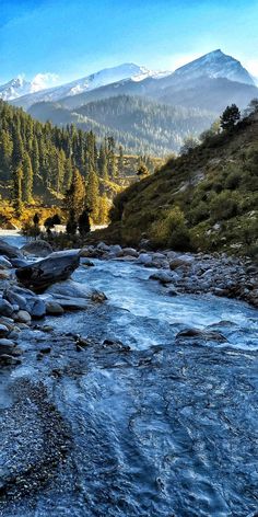 a river running through a lush green forest filled with lots of snow covered mountains in the distance