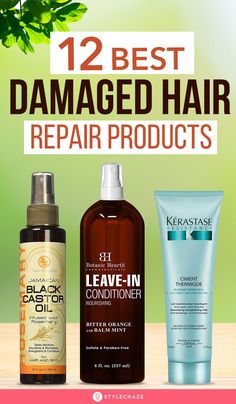 Best Hair Products Damaged, Best Products For Dry Damaged Hair, Best Oil For Damaged Hair, Hair Restoration Remedies, Hair Products For Dry Damaged Hair, Damaged Hair Repair Black Women, Best Hair Care Products For Damaged Hair, Best Hair Products For Damaged Hair, Best Hair Oils For Damaged Hair