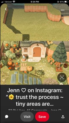 an iphone screenshot with the text,'jenny on instagram trust the process tiny areas are