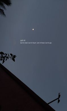 the moon is shining in the sky above a building and some tree branches with leaves on it