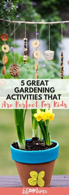 a potted plant with flowers in it and the words 5 great gardening activities for kids