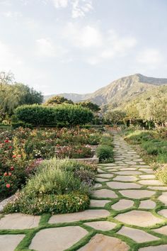 a stone path surrounded by flowers and greenery