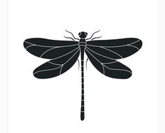 a black and white silhouette of a dragonfly