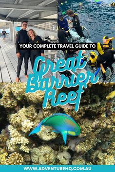 the complete guide to great barrier reef reef diving and snorkeling in australia