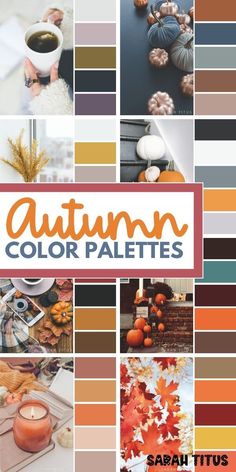 an autumn color palette with pumpkins, leaves and other fall items in the background